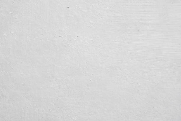 Professional Mold Removal in Surf City, NC
