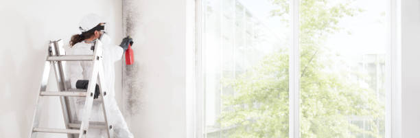 Mold Remediation for Rental Properties in Surf City, NC